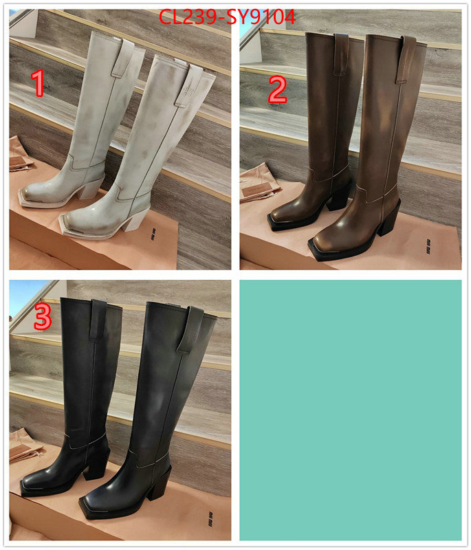 Women Shoes-Boots fake cheap best online ID: SY9104 $: 239USD