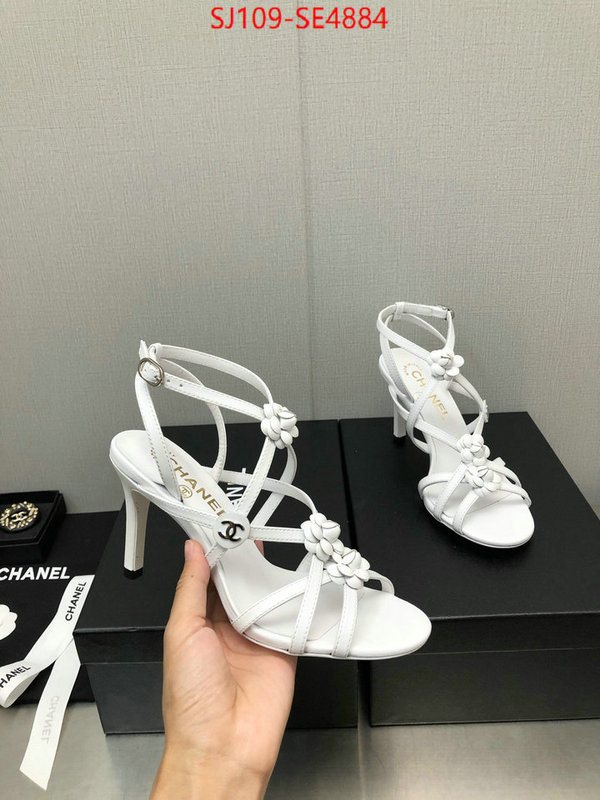 Women Shoes-Chanel good quality replica ID: SE4884 $: 109USD