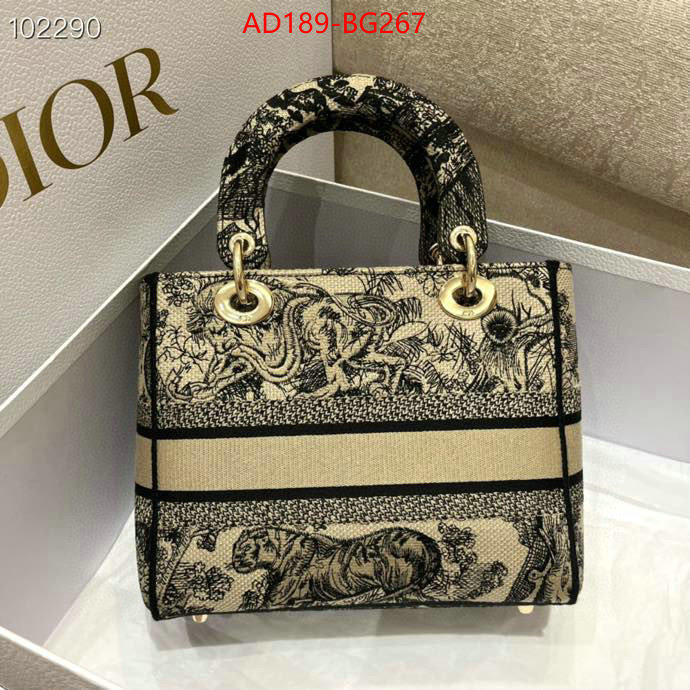 Dior Bags(TOP)-Lady- we provide top cheap aaaaa ID: BG267 $: 189USD