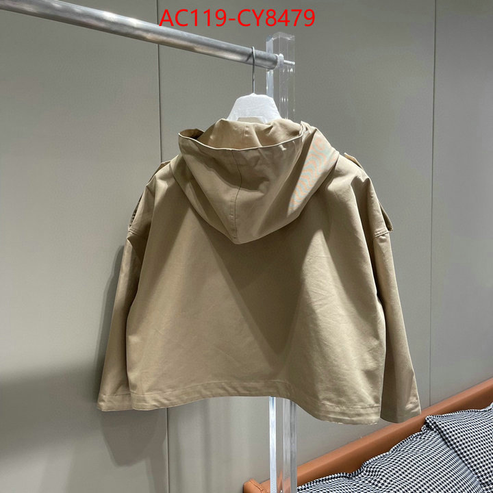 Clothing-Celine 2023 luxury replicas ID: CY8479 $: 119USD