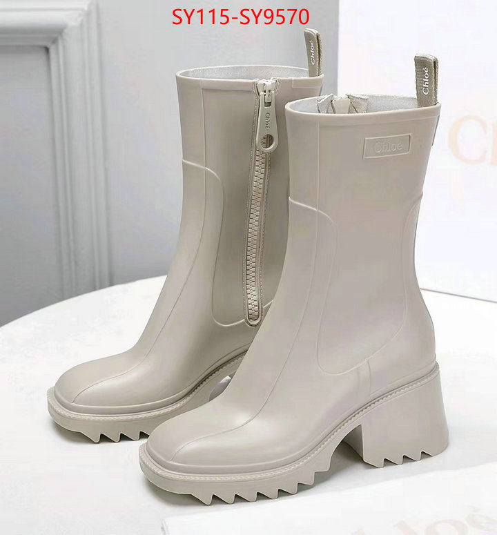 Women Shoes-Chloe we offer ID: SY9570 $: 115USD