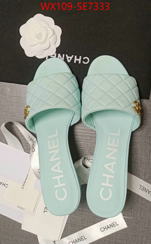 Women Shoes-Chanel wholesale designer shop ID: SE7333 $: 109USD