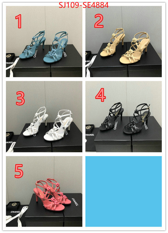 Women Shoes-Chanel good quality replica ID: SE4884 $: 109USD