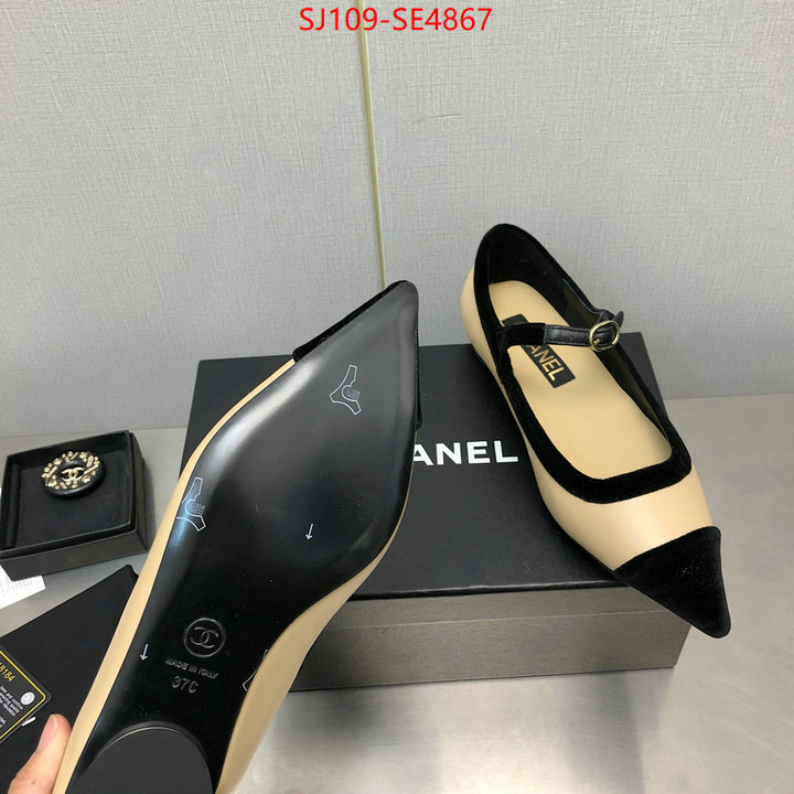 Women Shoes-Chanel supplier in china ID: SE4867 $: 109USD
