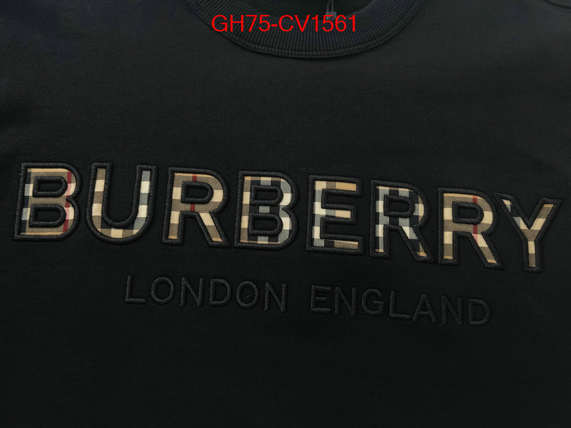 Clothing-Burberry high quality designer ID: CV1561 $: 75USD