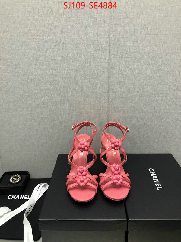 Women Shoes-Chanel good quality replica ID: SE4884 $: 109USD