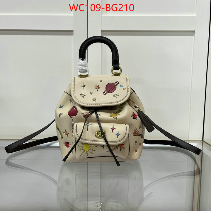 Coach Bags(4A)-Backpack- replica aaaaa designer ID: BG210 $: 109USD