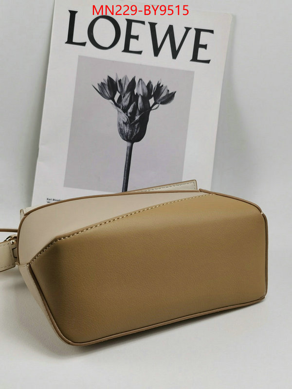 Loewe Bags(TOP)-Puzzle- 2023 replica ID: BY9515 $: 229USD