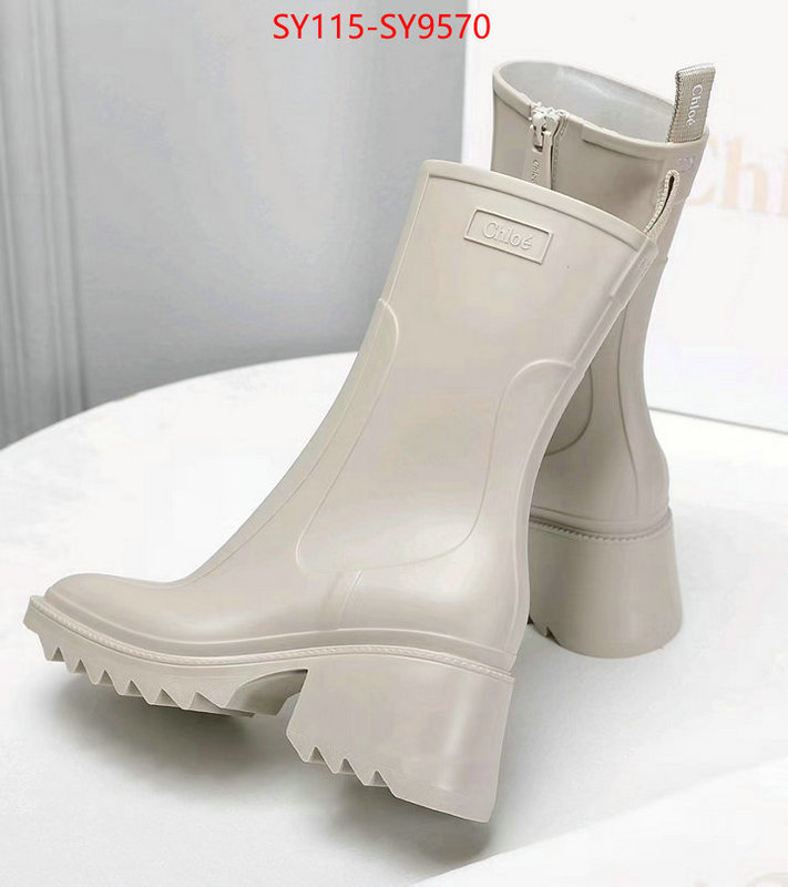 Women Shoes-Chloe we offer ID: SY9570 $: 115USD