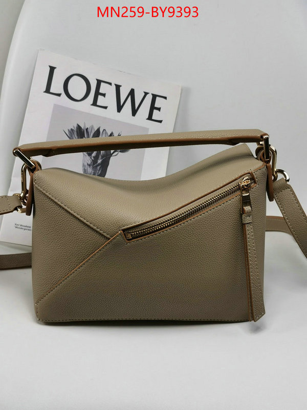 Loewe Bags(TOP)-Puzzle- where can i buy the best 1:1 original ID: BY9393 $: 269USD