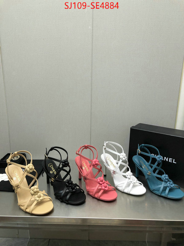 Women Shoes-Chanel good quality replica ID: SE4884 $: 109USD