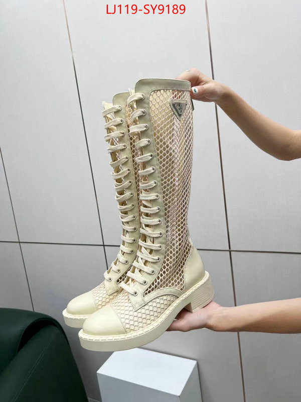 Women Shoes-Boots the online shopping ID: SY9189 $: 119USD