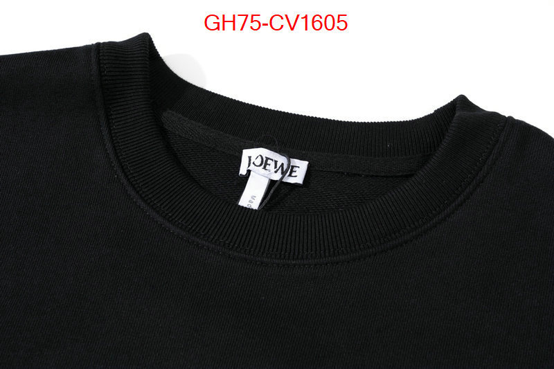 Clothing-Loewe quality replica ID: CV1605 $: 75USD