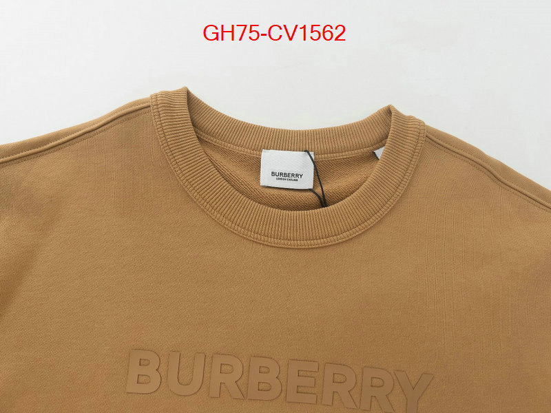 Clothing-Burberry highest product quality ID: CV1562 $: 75USD