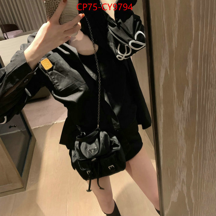 Clothing-Loewe buy best quality replica ID: CY9794 $: 75USD