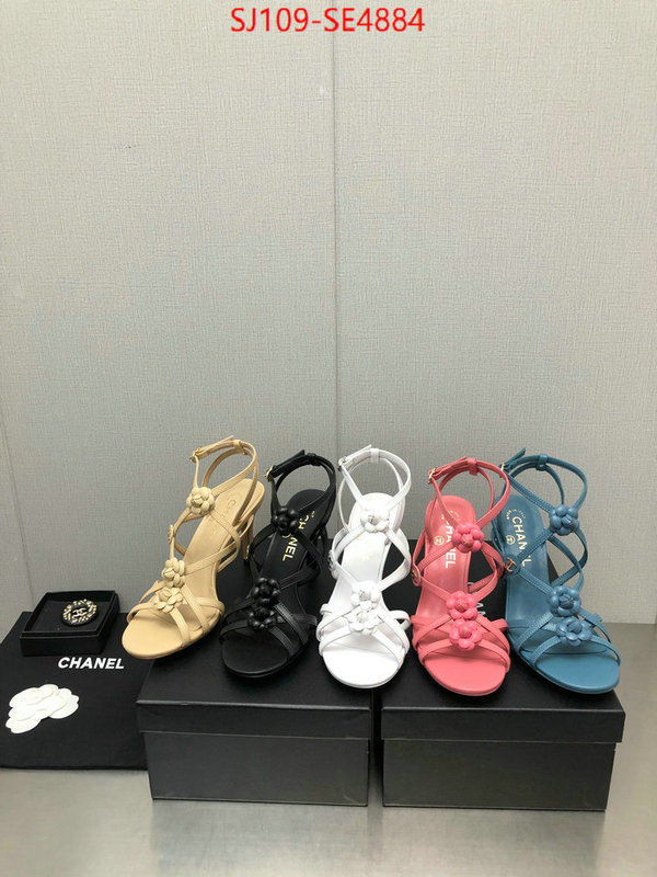 Women Shoes-Chanel good quality replica ID: SE4884 $: 109USD