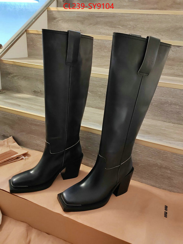 Women Shoes-Boots fake cheap best online ID: SY9104 $: 239USD