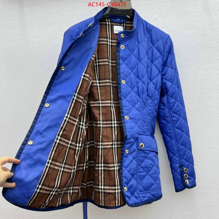 Down jacket Women-Burberry wholesale replica shop ID: CY8475 $: 145USD