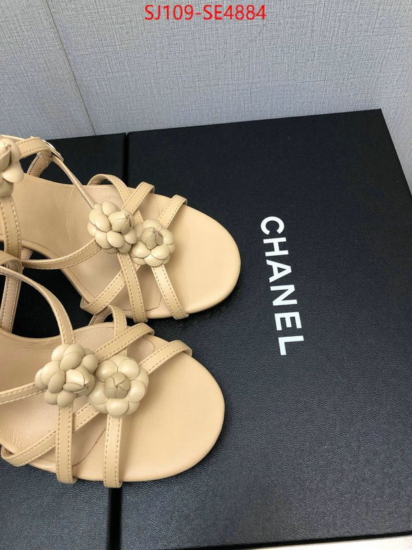 Women Shoes-Chanel good quality replica ID: SE4884 $: 109USD