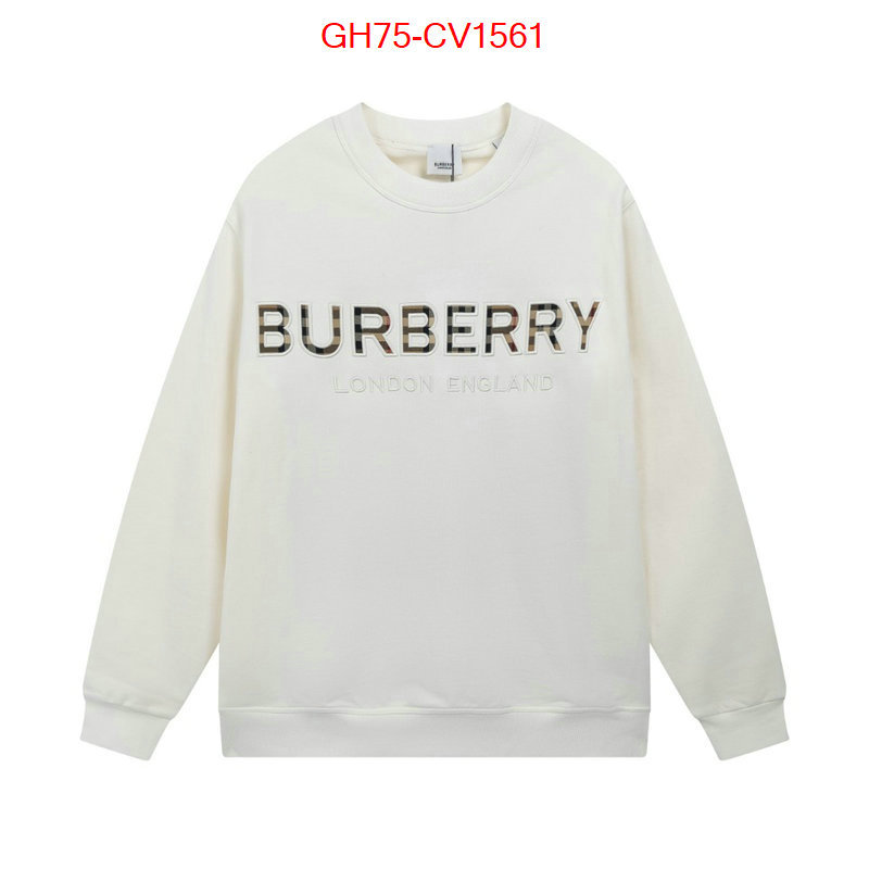 Clothing-Burberry high quality designer ID: CV1561 $: 75USD