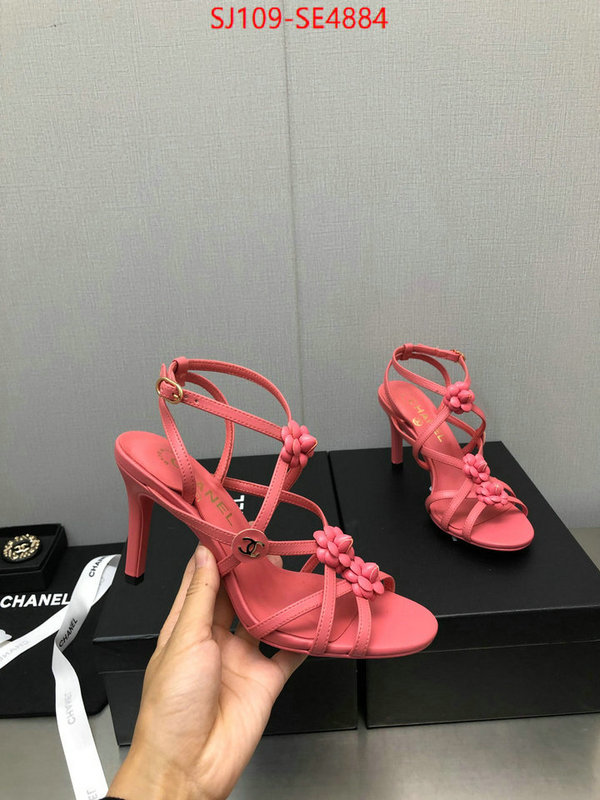 Women Shoes-Chanel good quality replica ID: SE4884 $: 109USD