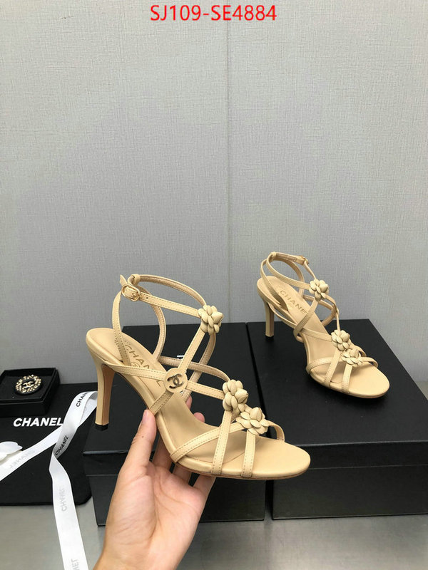 Women Shoes-Chanel good quality replica ID: SE4884 $: 109USD