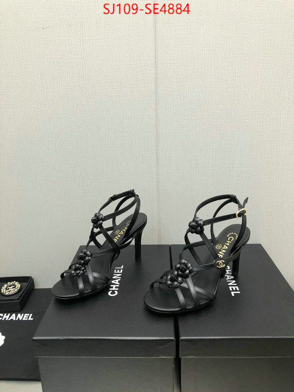 Women Shoes-Chanel good quality replica ID: SE4884 $: 109USD