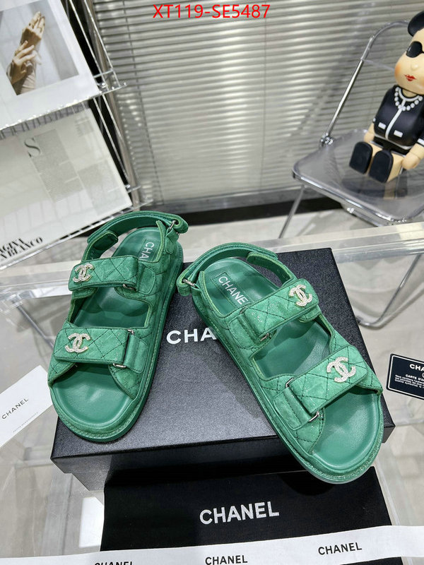 Women Shoes-Chanel online shop ID: SE5487 $: 119USD