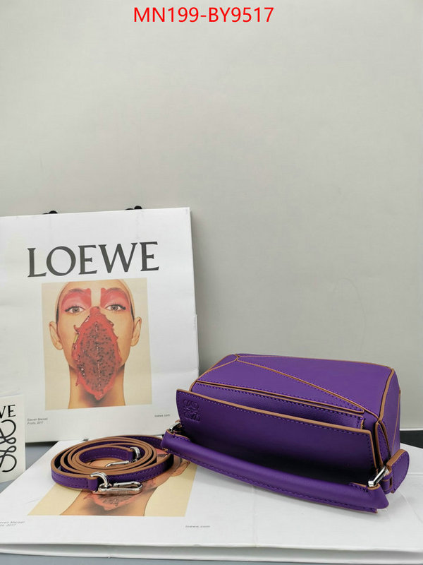 Loewe Bags(TOP)-Puzzle- shop the best high authentic quality replica ID: BY9517 $: 199USD