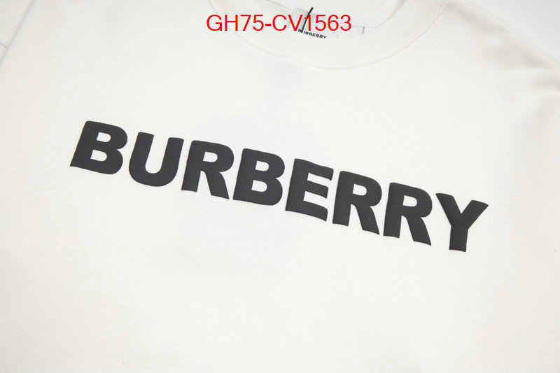 Clothing-Burberry for sale online ID: CV1563 $: 75USD