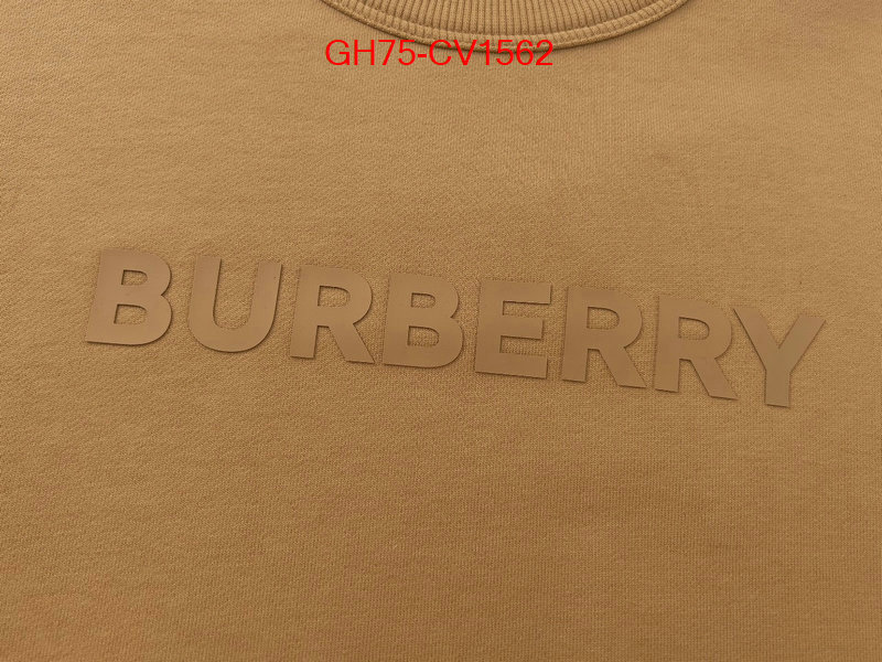 Clothing-Burberry highest product quality ID: CV1562 $: 75USD