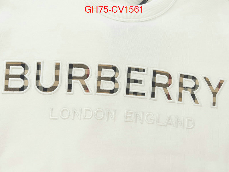 Clothing-Burberry high quality designer ID: CV1561 $: 75USD