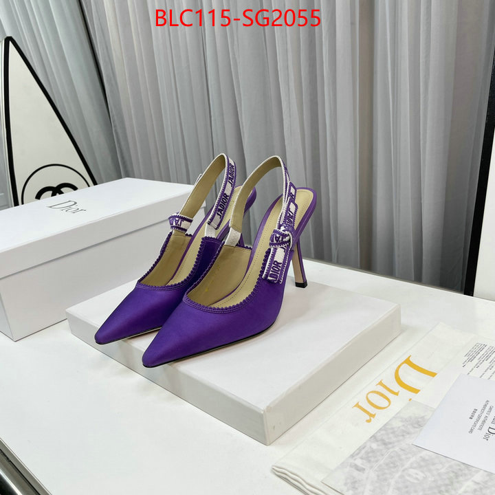 Women Shoes-Dior wholesale sale ID: SG2055 $: 115USD