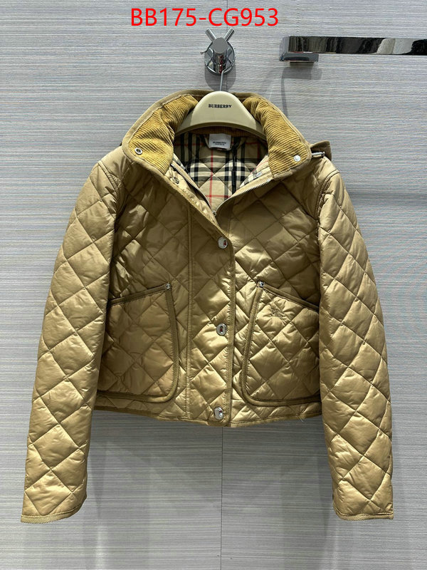 Down jacket Men-Burberry fake ID: CG953 $: 175USD