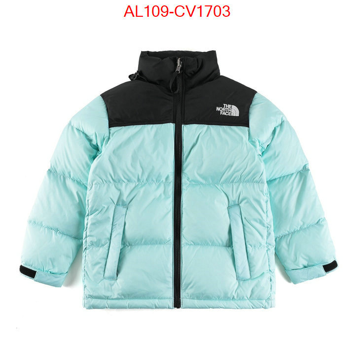 Kids clothing-The North Face buying replica ID: CV1703 $: 109USD