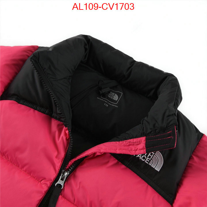 Kids clothing-The North Face buying replica ID: CV1703 $: 109USD