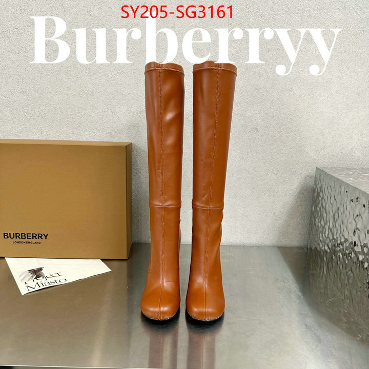 Women Shoes-Boots replica for cheap ID: SG3161 $: 205USD