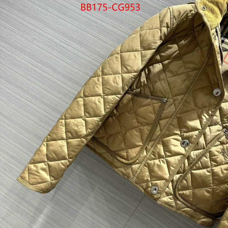 Down jacket Men-Burberry fake ID: CG953 $: 175USD