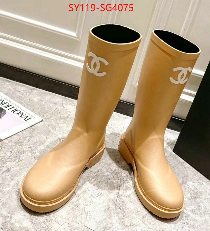 Women Shoes-Chanel wholesale china ID: SG4075 $: 119USD