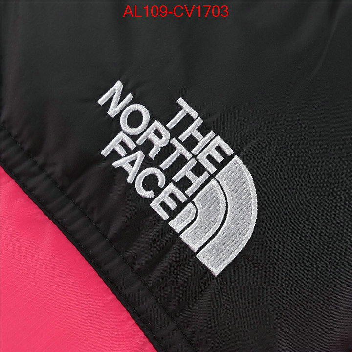 Kids clothing-The North Face buying replica ID: CV1703 $: 109USD