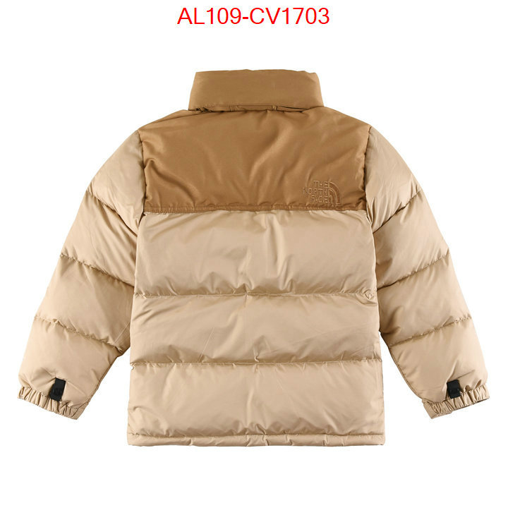 Kids clothing-The North Face buying replica ID: CV1703 $: 109USD