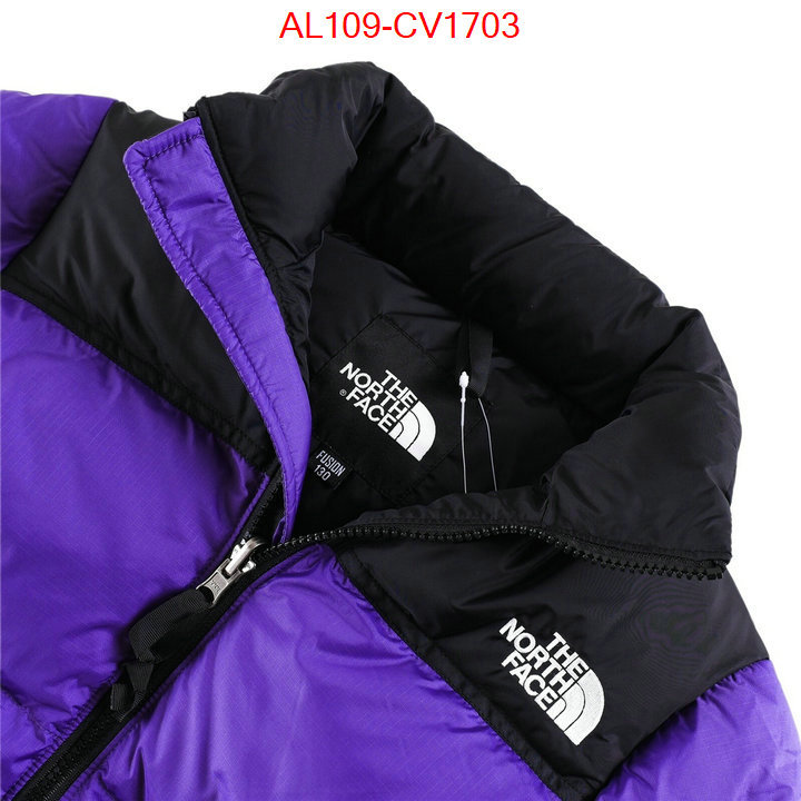 Kids clothing-The North Face buying replica ID: CV1703 $: 109USD