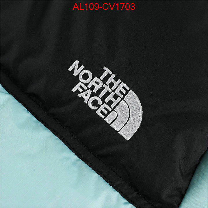 Kids clothing-The North Face buying replica ID: CV1703 $: 109USD