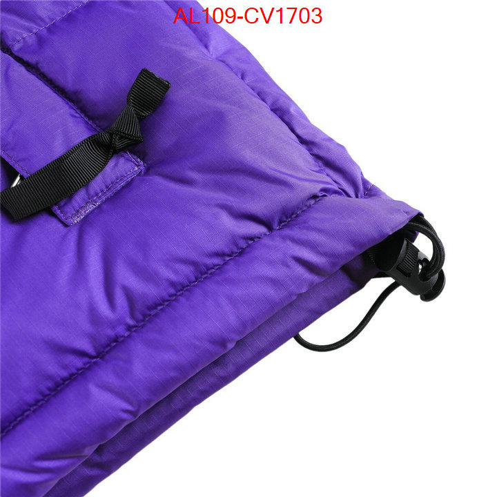 Kids clothing-The North Face buying replica ID: CV1703 $: 109USD