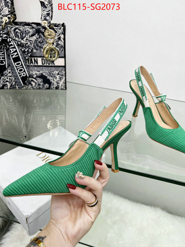 Women Shoes-Dior perfect replica ID: SG2073 $: 115USD