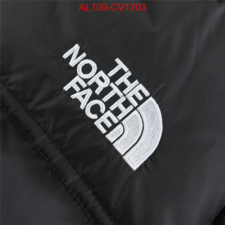 Kids clothing-The North Face buying replica ID: CV1703 $: 109USD