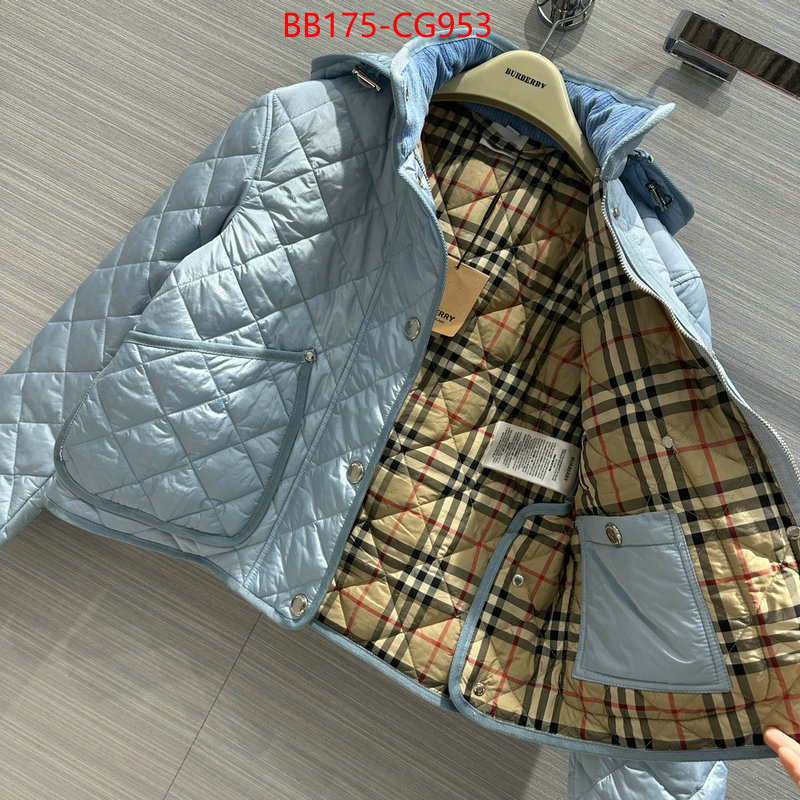 Down jacket Men-Burberry fake ID: CG953 $: 175USD