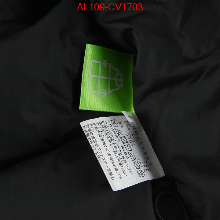 Kids clothing-The North Face buying replica ID: CV1703 $: 109USD