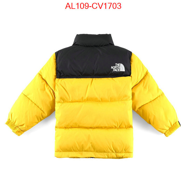 Kids clothing-The North Face buying replica ID: CV1703 $: 109USD