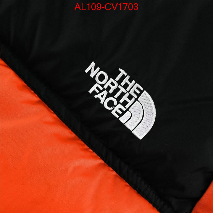 Kids clothing-The North Face buying replica ID: CV1703 $: 109USD